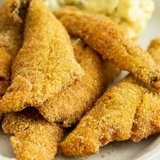 Ocean Perch
